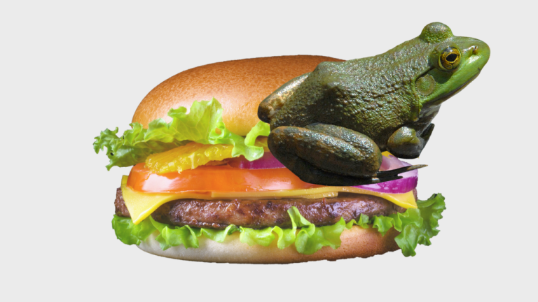 USA: Maco en algunas hamburguesas de McDonald’s – Remolacha   #FVDigital