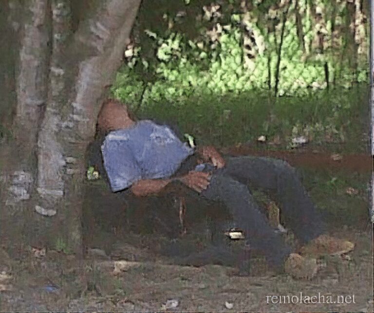 ¿Qué pasa en el cerebro cuando dormimos mal? – Remolacha   #FVDigital