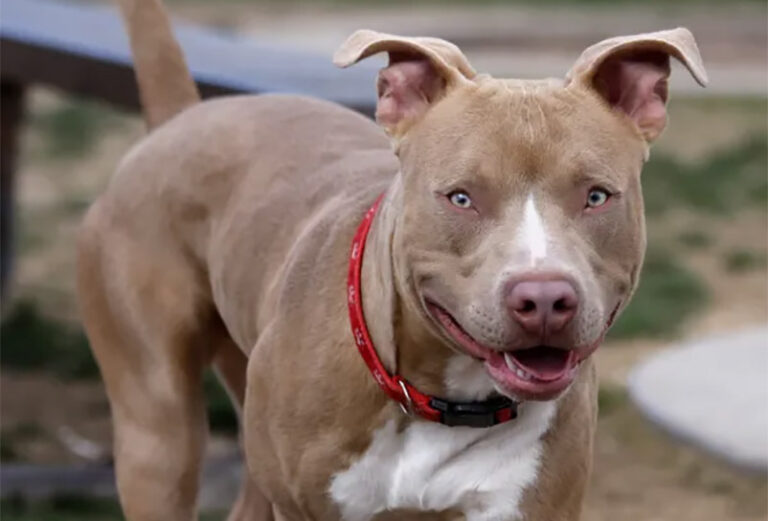 Madre e hija en Loma de Cabrera