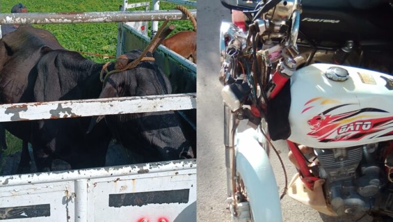 Dos heridos al chocar motor con una vaca – Remolacha   #FVDigital