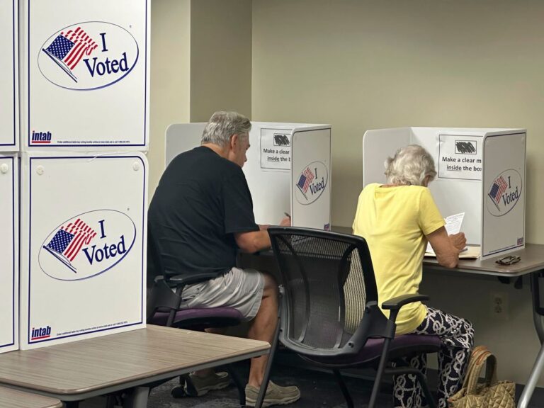 Tribunal de Apelaciones frena purga de votantes en Virginia; otros 19 estados en disputa