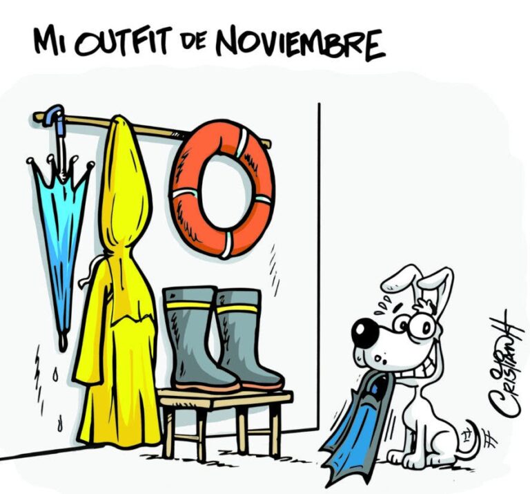 RD: ‘El outfit de noviembre’   #FVDigital