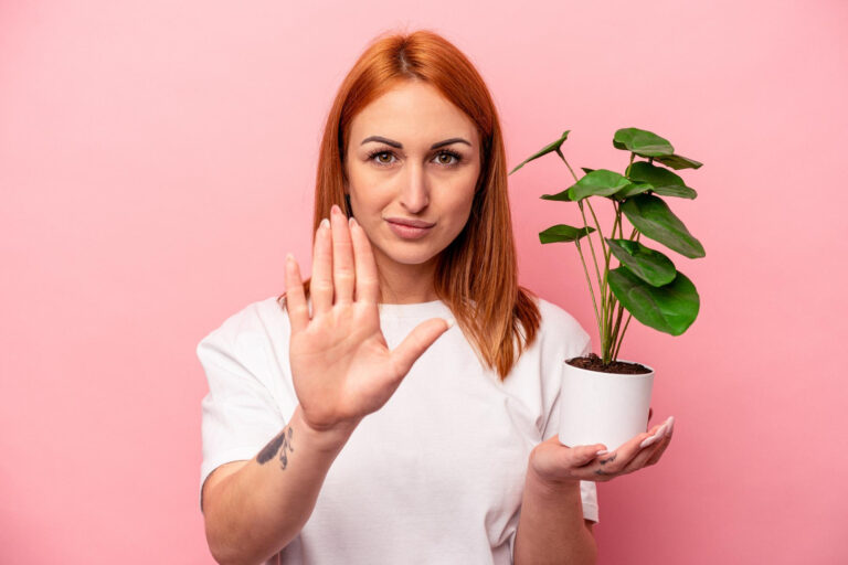5 señales de que sus plantas piden a gritos tierra fresca