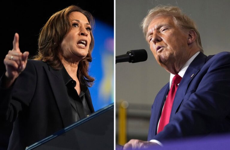 México, seguridad y elecciones: ¿con Harris o con Trump? #FVDigital
