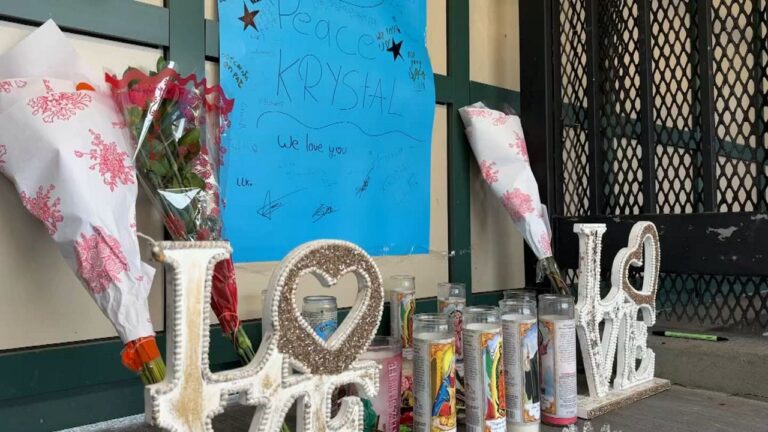 Permanente sistema de vigilancia con drones ‘subway surfing’