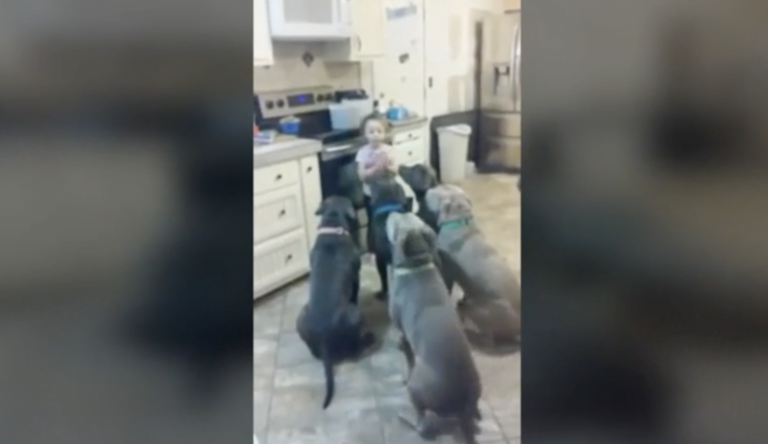 #Salud: lo que hacen fascina a 11 millones de personas (vídeo)