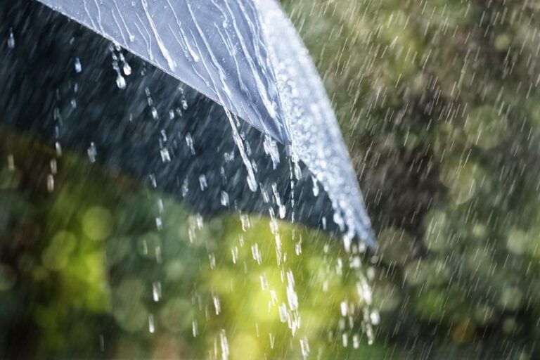 Tormenta tropical Rafael y vaguada provocarán fuertes lluvias en el país #FVDigital