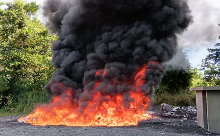 Inacif quema otros 679 kilogramos de drogas – Remolacha   #FVDigital