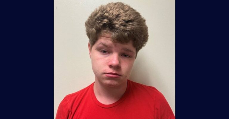 Escalofriante crimen en Florida: niño reconoce haber agredido sexualmente a mujer de 91 años