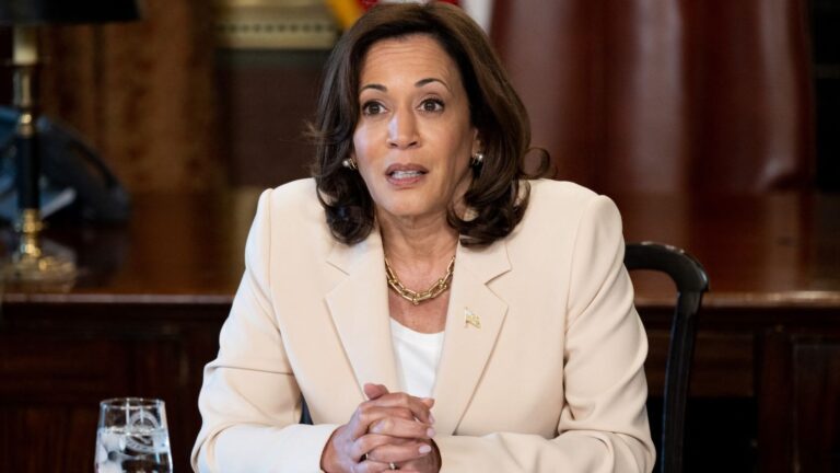 Kamala Harris dice que si gana las elecciones legalizará la marihuana recreativa – #FVDigital