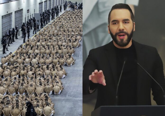 nayib-bukele-terrorismo-tren-de-aragua-mara-salvatrucha-.jpg