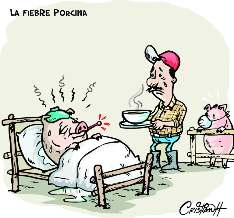 Del corral al hospital   #FVDigital