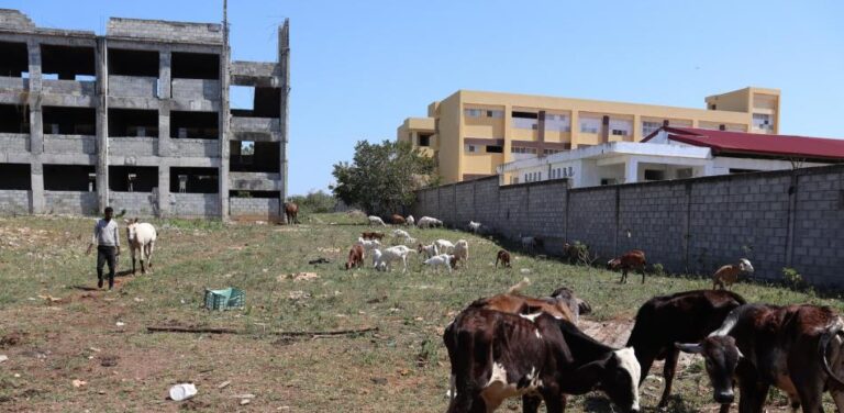 Escuela de La Caleta convertida en corral – #DeInteres   #FVDigital