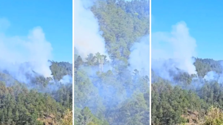 Incendio forestal en Constanza – #DeInteres   #FVDigital