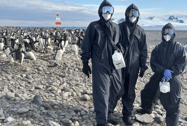 #Salud: Científicos españoles detectan gripe aviar en 200 animales en la Antártida