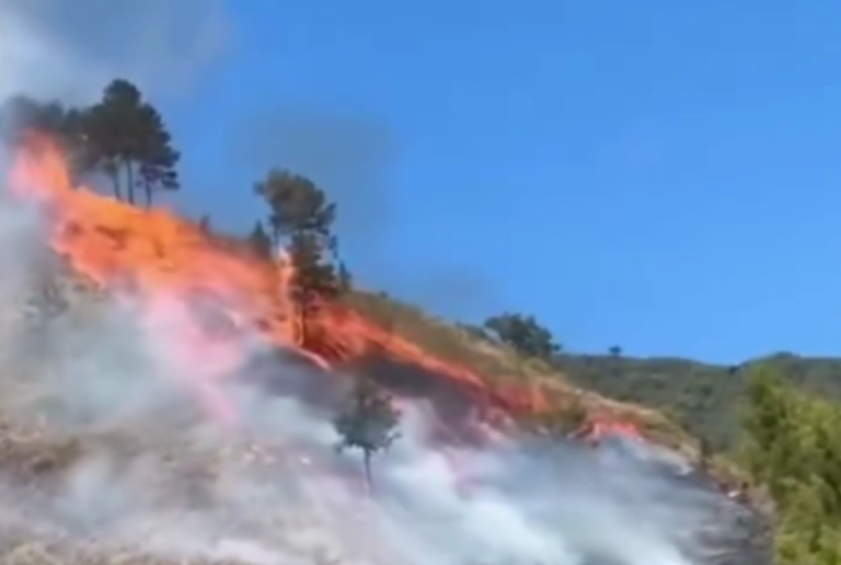 Incendio forestal en Constanza – #DeInteres   #FVDigital