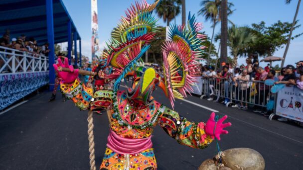 Desfile-del-Carnaval-DN-608x342.jpg