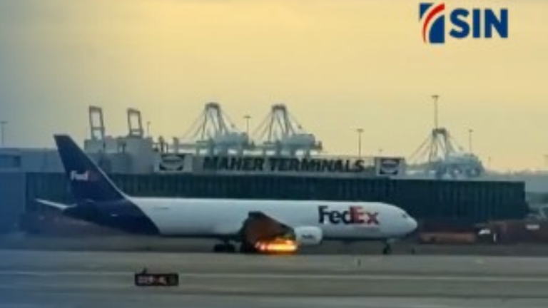 Un avión aterriza de emergencia tras choque con aves