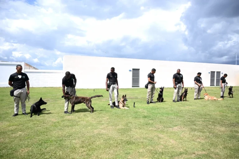 Nuevos perros al Cesac – #DeInteres   #FVDigital