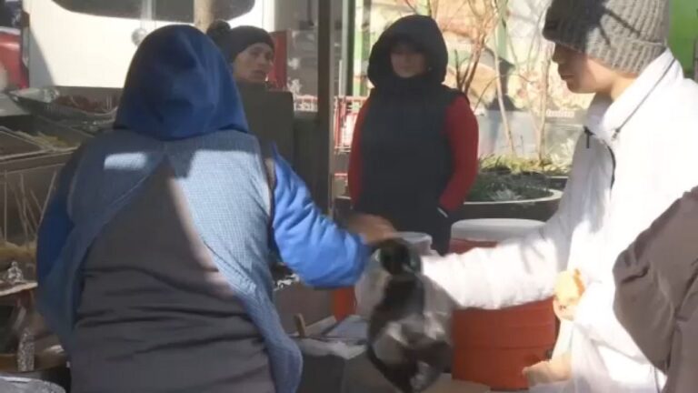 ‘Tienes que hacer algo, hay que pagar renta’