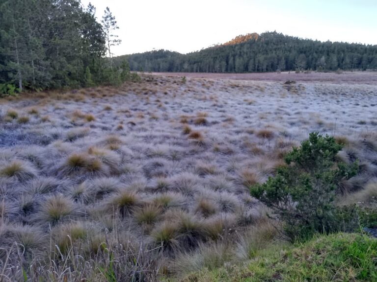 Temperaturas bajo cero en Valle Nuevo este sábado