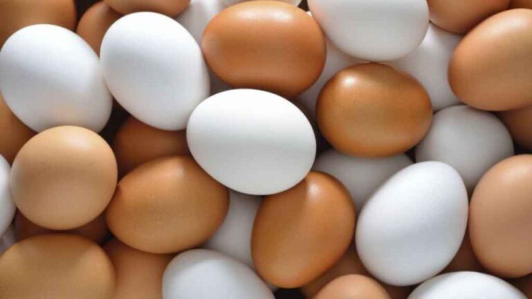 Huevos por unidad en Nueva York tras subida en los precios