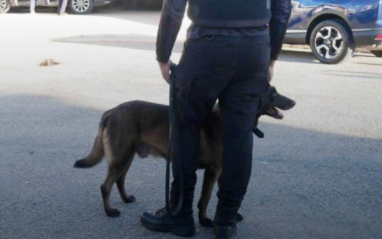 Vecinos da’o al grito por los perros del K9 – #DeInteres   #FVDigital