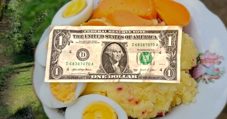 El dólar se vende hoy a RD$62.52   #FVDigital