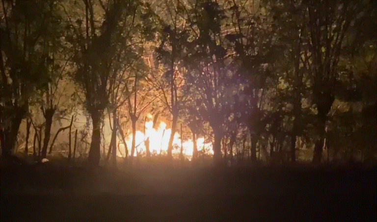 Reportan fuerte incendio en cañaverales en la autovía del Este