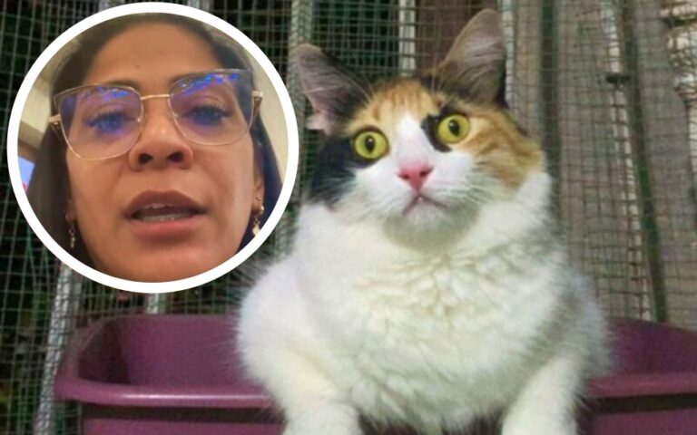 Venezolana varada en el AILA; le impiden abordar con gata – #DeInteres   #FVDigital