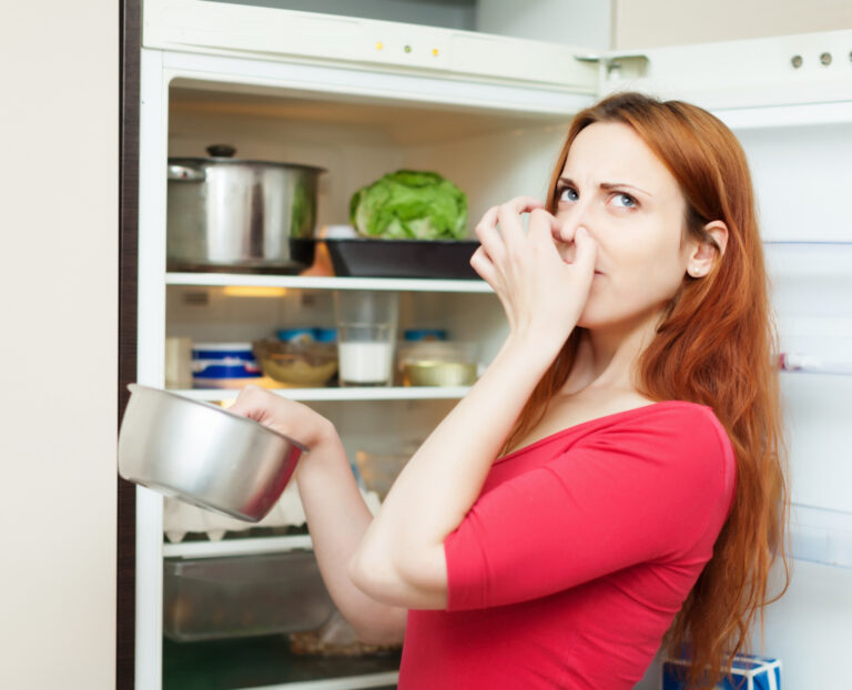 #Salud: cómo conservar tus alimentos en el refrigerador y congelador sin arriesgar tu salud