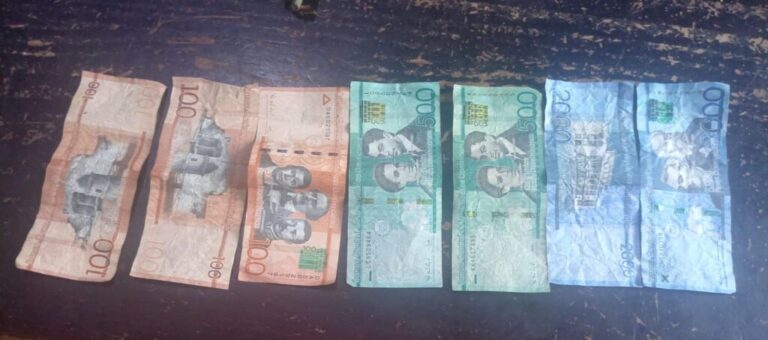 Policiales: Policía Nacional apresa a dos personas por posesión de dinero presuntamente falso en Cotuí