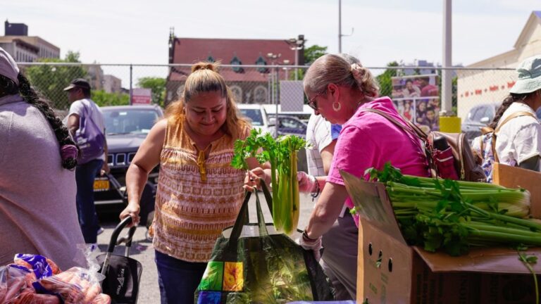 Alimentando a Nuestros Vecinos: El viaje de una comida