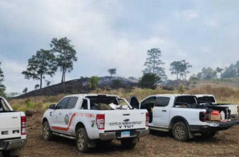 Controlan incendio en loma de San José de Ocoa – #DeInteres   #FVDigital