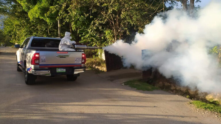 Día Mundial de la Malaria – #DeInteres   #FVDigital