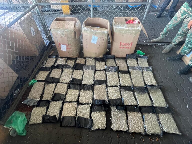 DNCD apresa hombre con 39 paquetes de marihuana en el Puerto Haina Oriental