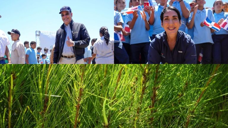 Abinader encabeza siembra de 3,200 plantas endémicas para reordenamiento de cuenca río Yaque del Norte