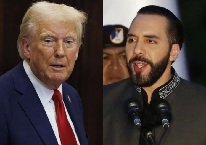 donald-trump-nayib-bukele-_86a50a.jpg
