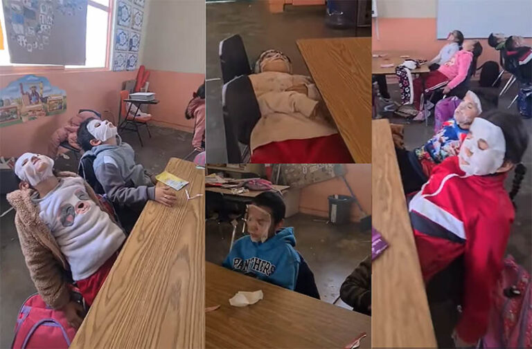 Una maestra de primaria – #FVDigital