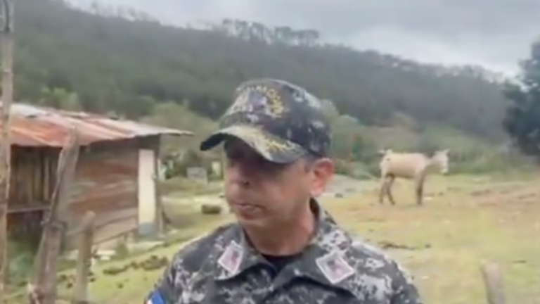 Policía busca prófugo acusado de matar a su suegra (video) – #DeInteres   #FVDigital