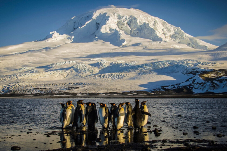 Una diminuta isla del Índico solo está habitada por focas y pingüinos. Y EEUU también le ha puesto aranceles – FGJ MULTIMEDIOS