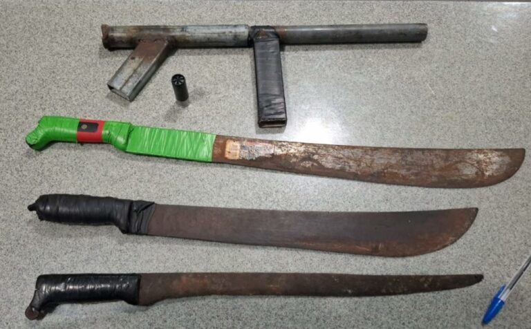 Policiales: PN detiene a cinco menores de edad presuntos integrantes de la banda denominada “Los 102” en SPM