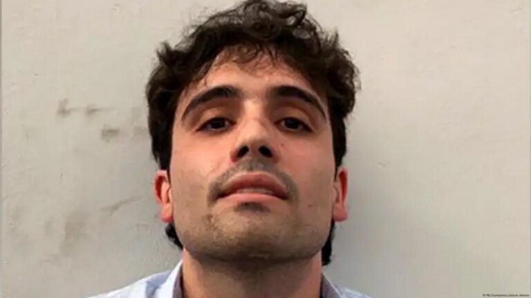 ¿Qué precio tiene la seguridad de la familia de los Chapitos? #FVDigital