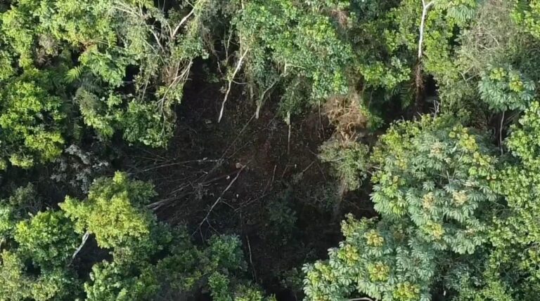 Tensión en El Naranjo por tala de árboles vinculada a Barrick Gold