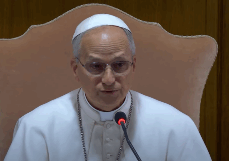 El Vaticano publica la foto y el escudo oficial de León XIV – #DeInteres   #FVDigital