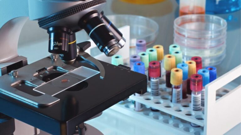 Revelan mecanismo de defensa de las bacterias contra los virus que las atacan