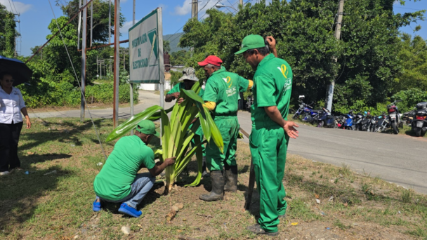 Digecac recupera Corredor Turístico de Puerto Plata #FVDigital