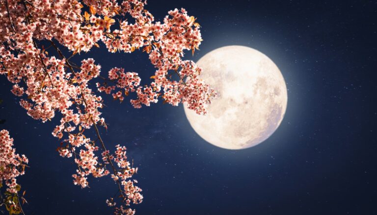 La Luna de flores ilumina mayo: ¿Cuándo será visible la próxima Luna llena?
