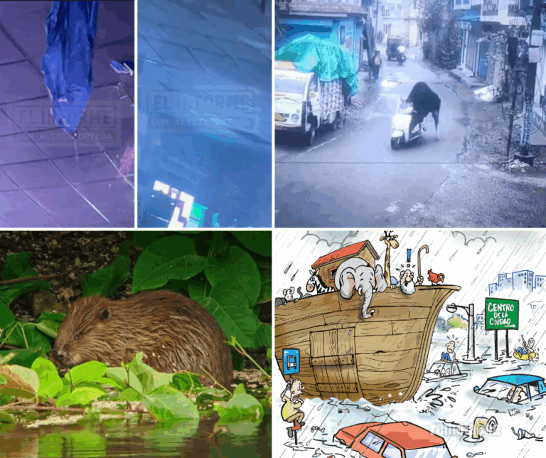 Las más vistas de la mañana   #FVDigital