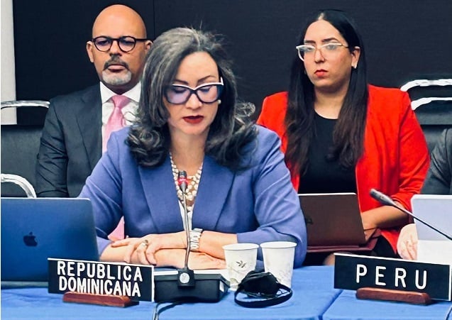 Mayerlyn-Cordero-Diaz-embajadora-de-la-Republica-Dominicana-ante-la-OE.jpg